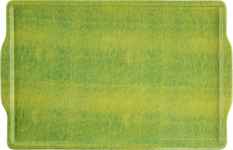 Поднос MH: Anaconda. ИД 7243232 Поднос MH: Anaconda. ИД 7243232