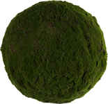 Декор Moss Sun. ИД 7256290 Декор Moss Sun. ИД 7256290