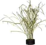 Декор Reeds and Leaves. ИД 7263383 Декор Reeds and Leaves. ИД 7263383