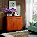 7221813 обувница Hemis: Zebra Wood 7221813 обувница Hemis: Zebra Wood