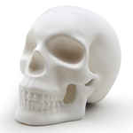 Лампа настольная Skull. ИД 7316706