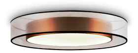 Потолочный светильник Freya FR6005CL-L48G FR6005CL-L48G